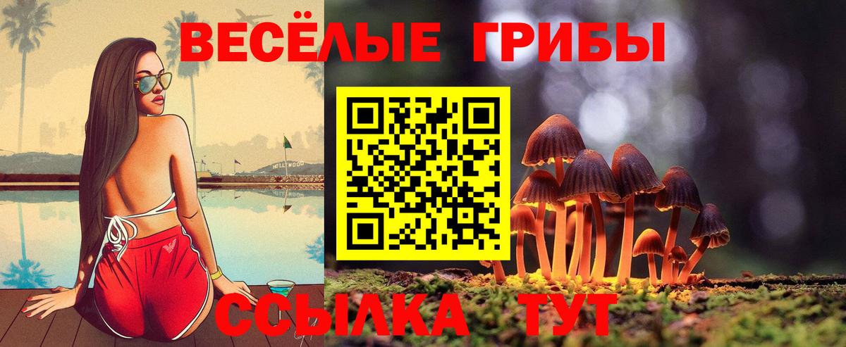 Псилоцибиновые грибы MAGIC MUSHROOMS Россия